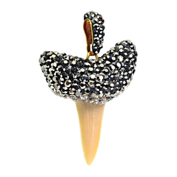 Genuine Shark Teeth Bone Druzy Gemstone Pendant for Necklace Pendants